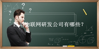 四川物聯(lián)網(wǎng)研發(fā)公司